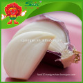 EU standard Fresh natural organic Hybrid garlic Yunnan pollution free garlic